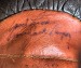Boxing gloves autographed by Gene Tunney and Jack Dempsey
