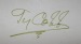 Ty Cobb framed Cut Signature with vintage photo