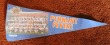 25th Anniversary NEW YORK METS (1962-86) World Series Rolaids 24" Pennant FEVER!
